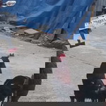 Mark John Paran profile icon