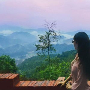 Phương Tâm profile icon