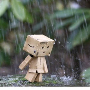 Thanh Luong Ho profile icon