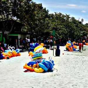 Vita Liana profile icon