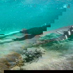 Jessa Palaña profile icon