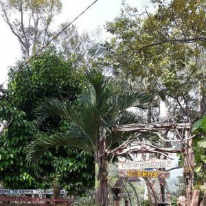 Rosalia profile icon