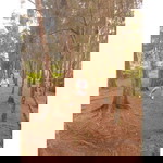 Mikee Dusal profile icon