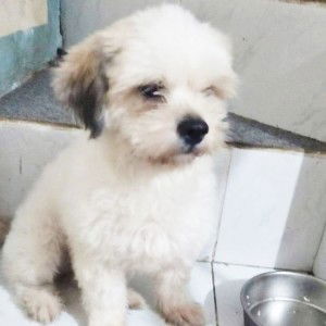 ラモス ヤン・ profile icon