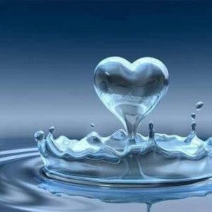 กนกวรรณ รอดอิ่ม profile icon