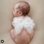 Fi Fi Fi profile icon