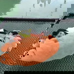 กรกนก ชูหาญ profile icon