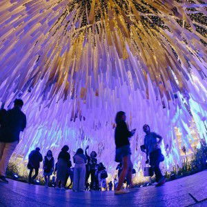 Thian True profile icon