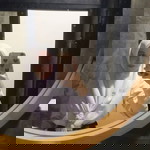 Milanda Mami profile icon