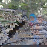 Lathifah Hanum Indrie profile icon