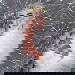 Muphie Nasa profile icon