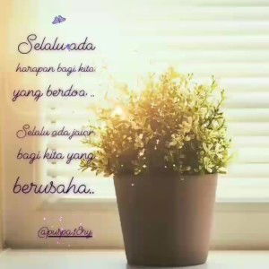 Pusparani Yunita profile icon