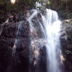 Mariana profile icon