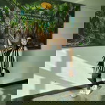 Pelaez Erica profile icon