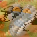 Memin Min profile icon