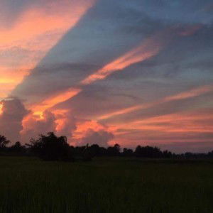 อีสาน ไก่ชน profile icon