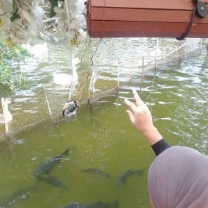 Sisaisy Sis profile icon