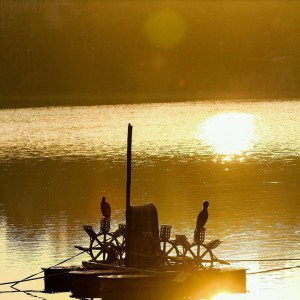 ปายฝน ต้นหนาว profile icon