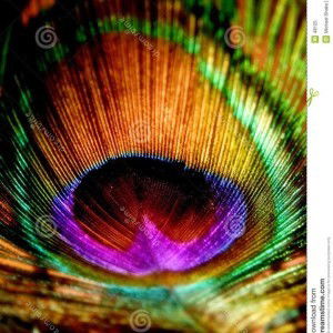 Arthi Raja profile icon