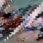 Sáng Danh profile icon