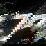 Aryanna Bhel profile icon