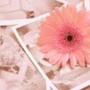 Sylvia indah qivari profile icon