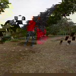 Nia Danier profile icon