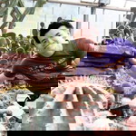 Tar Athikom profile icon