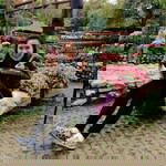 ChomPoo Bring profile icon