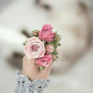 Novi Eka Widiastuti profile icon