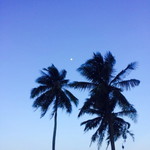 nur dyen profile icon