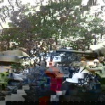 Samantha Aranda profile icon