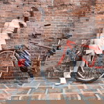 Len Redilla-Lopez profile icon