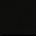 Princess Ella Lee Park profile icon