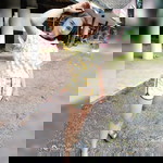 แต เอราวัณ profile icon