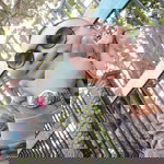 AceFer Balinang Sardeniola profile icon