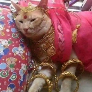 Nur Aqilah Nur Aqilah profile icon