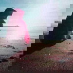 S Kusnul Khotimah profile icon