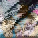 Donnave Sultan profile icon