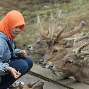 Xave Ria profile icon