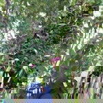 Tien Tiena profile icon