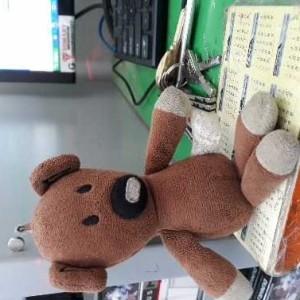 Windi Sopia profile icon