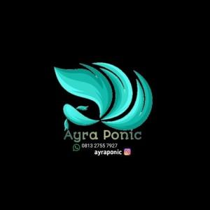 Ayra Ponic profile icon