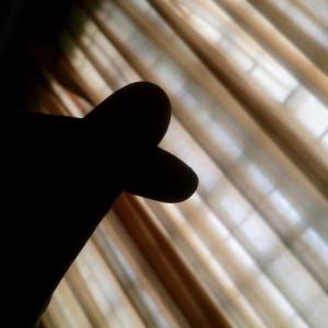 nuralya al_edruce profile icon