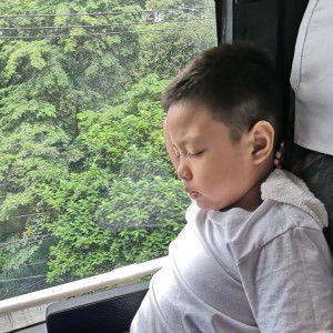 Niezel Joy Brazil Ramos profile icon