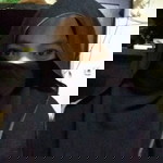 Sitikhodijah profile icon