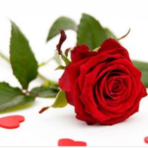 S Rodiah profile icon