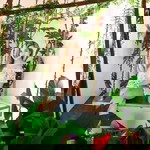 Ella Gealogo profile icon