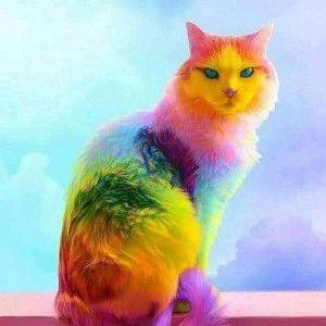 Vialala Ferryan profile icon