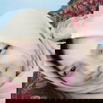 Reni Yuniarni profile icon